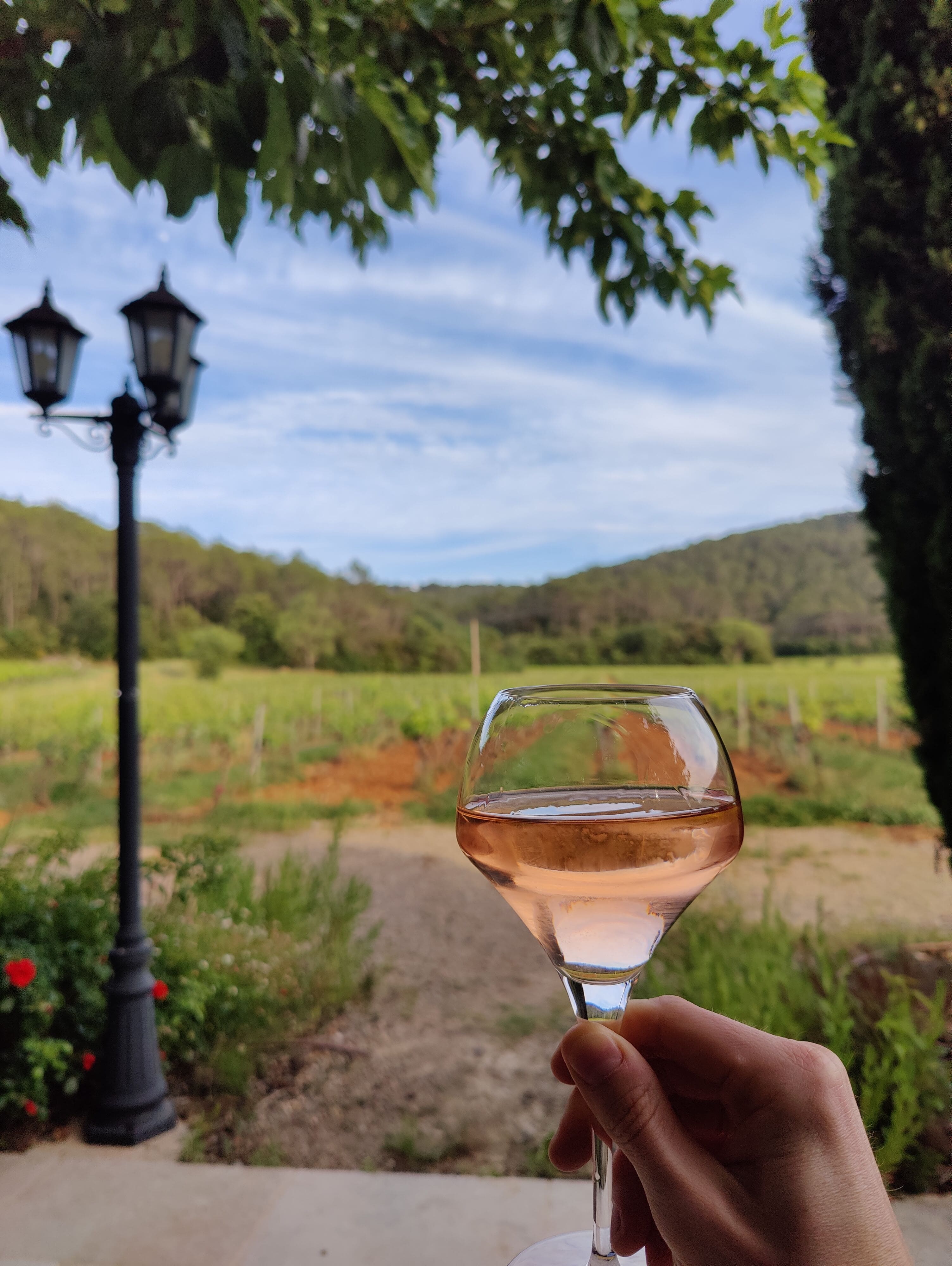 Vignobles & Dégustation